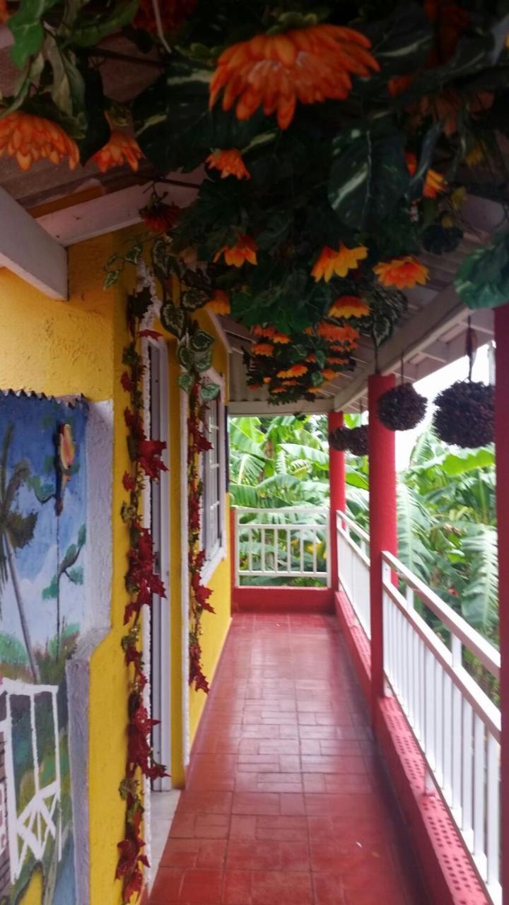 Posada Nativa Licy San Andrés Екстериор снимка